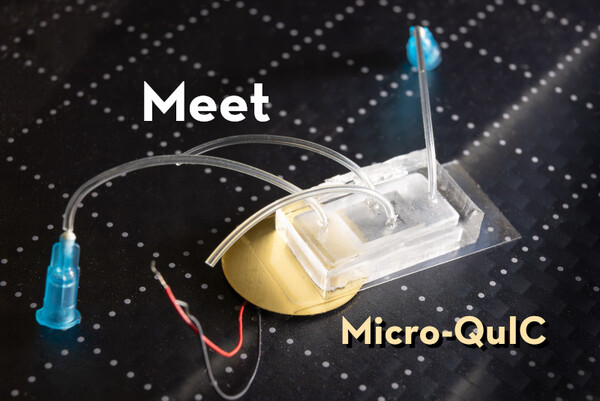a small, translucent block with tubes and wires